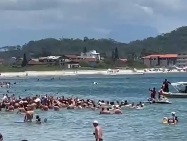 Depois de cortar o cabelo e apostar na Mega da Virada, presidente aproveitou o dia de sol na praia da Enseada – Foto: Reprodu&ccedil;&atilde;o/S&atilde;o Chico Online