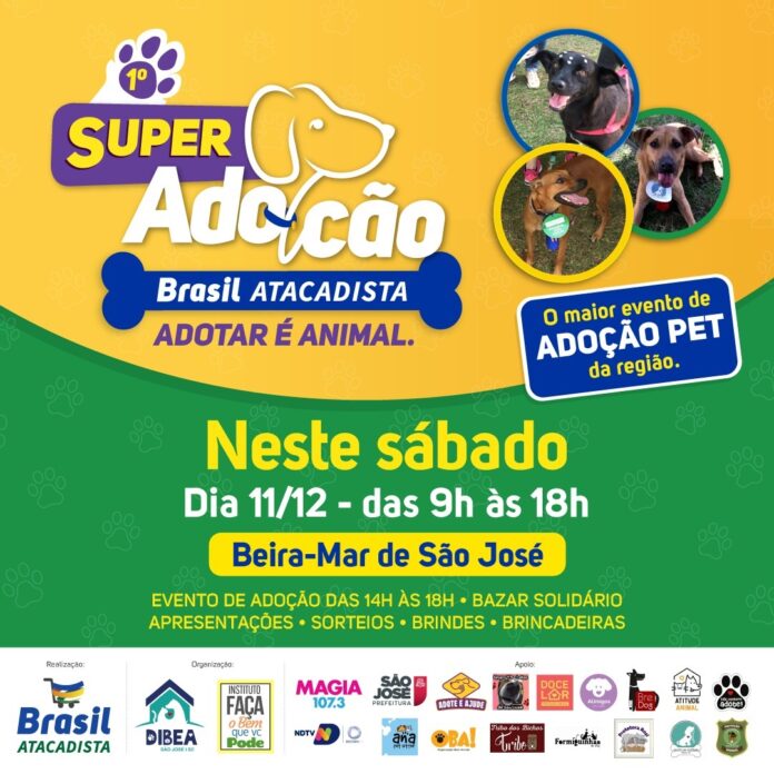 V&aacute;rias ONGs participam do evento – Foto: Internet/Divulga&ccedil;&atilde;o/N