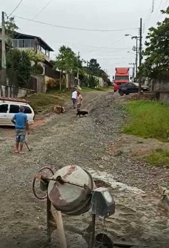 Cães da raça Pitbull atacam cachorro vira-lata no Bairro Itaum em Joinville &#8211; Foto: Foto: reprodução vídeo