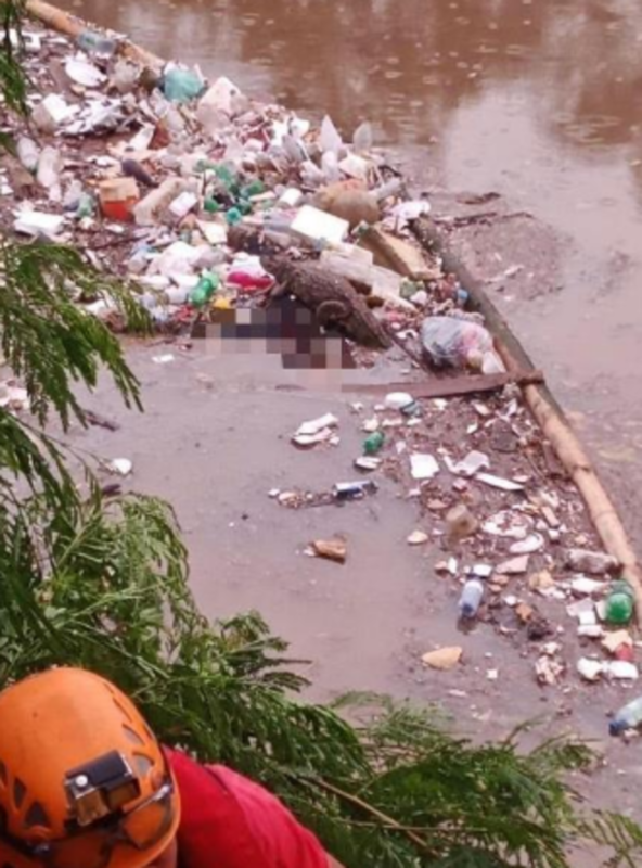 Corpo foi encontrado na lagoa da Pampulha, em Belo Horizonte – Foto: Corpo de Bombeiros da Minas Gerais/Divulga&ccedil;&atilde;o/ND