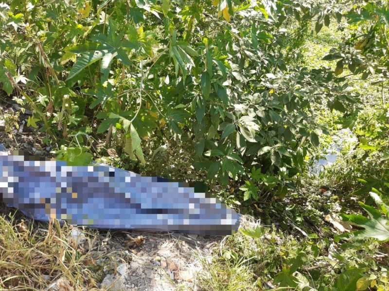 Corpo do idoso foi localizado neste domingo (26) em um rio de Tubar&atilde;o – Foto: Divulga&ccedil;&atilde;o/CBM/ND