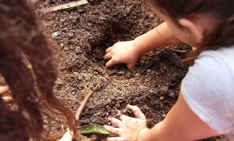 Educando e Transformando com a Horta, projeto coordenado pelo Cepagro – Foto: Cepagro/Divulgação/ND