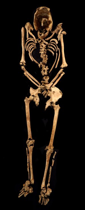 Esqueleto do homem desenterrado &#8211; Foto: Albion Archaeology/Divulgação/ND