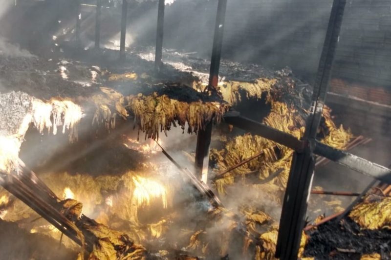 Bombeiros informaram que o fogo atingiu uma &aacute;rea de aproximadamente 60 m&sup2; – Foto: Corpo de Bombeiros / Divulga&ccedil;&atilde;o / ND