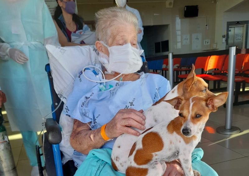 Idosa com seus cachorros