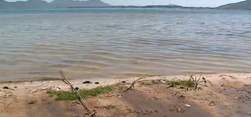 Moradores e turistas reclamam do mau cheiro da Lagoa da Conceição em Florianópolis &#8211; Foto: Reprodução/NDTV RecordTV
