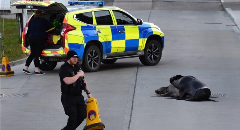 Pol&iacute;cia literalmente parou o tr&acirc;nsito para dar ‘privacidade’ ao casal – Foto: Reprodu&ccedil;&atilde;o/Twitter