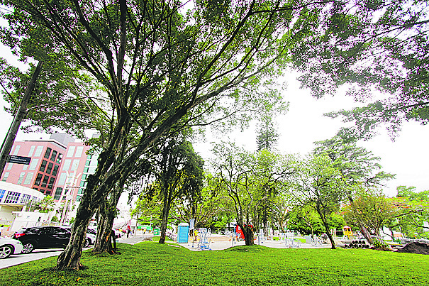 O paisagismo previsto para a pra&ccedil;a ter&aacute; o plantio de esp&eacute;cies como quaresmeira, jacarand&aacute;, ip&ecirc; da praia, arbustos e grama – Foto: Leo Munhoz/ND