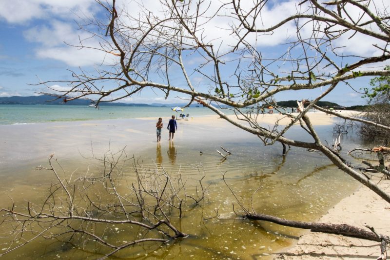 Ponto impróprio não tem conexão com a praia de Ponta das Canas