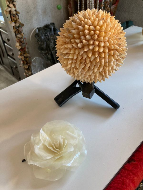 Presentes foram feitos h&aacute; meses e devem ser entregues a Bolsonaro durante as f&eacute;rias – Foto: Jonathan Rocha/NDTV