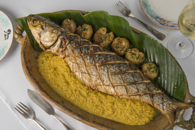 Tainha é um dos peixes mais tradicionais em Florianópolis &#8211; Foto: Chef Narbal