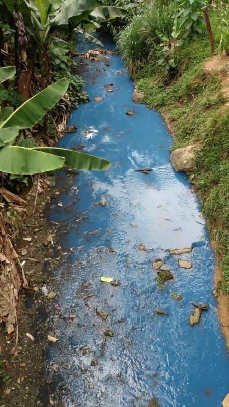 Moradores registraram a cor na manh&atilde; desta quinta-feira (9) – Foto: Divulga&ccedil;&atilde;o/Reda&ccedil;&atilde;o ND