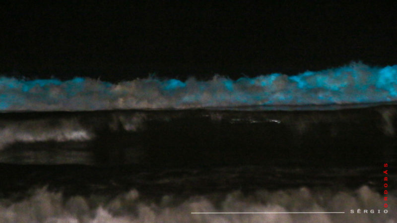O profissional contou ao site g1 que o ambiente escuro e o movimento das ondas não possibilitou um registro melhor do fenômeno. Elisabeth Cabral, bióloga marinha e professora da Universidade Federal do RS explicou que a bioluminescência é uma característica presente em diversos organismos, com vaga-lumes e cogumelos. No caso específico, houve atividade de plânctons dinoflagelados. — Foto: Sérgio Ordobás/Arquivo Pessoal/ND