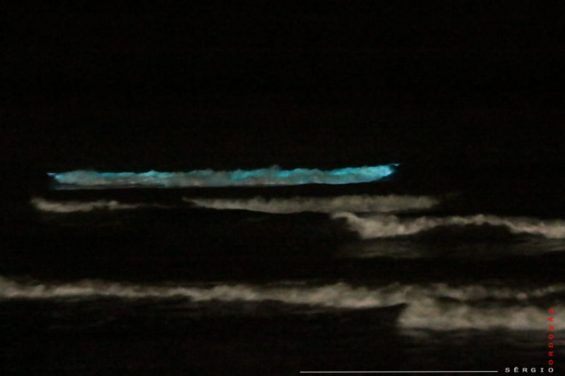 Pequenos seres vivos marinhos iluminaram a praia de Capão da Canoa, no Litoral Norte do Rio Grande do Sul, na noite de terça-feira (18), num fenômeno conhecido como bioluminescência. As imagens foram registradas pelo fotógrafo Sérgio Ordobás. — Foto: Sérgio Ordobás/Arquivo Pessoal/ND