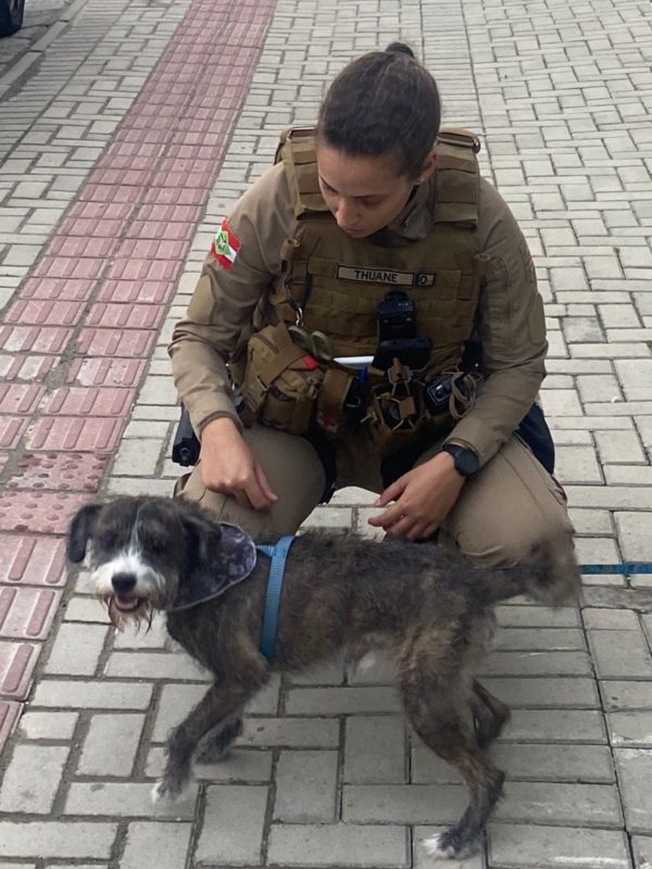 Cachorro foi esquecido por mais de 4 horas em carro fechado na praia Brava em Itaja&iacute; – Foto: Pol&iacute;cia Militar/Reprodu&ccedil;&atilde;o