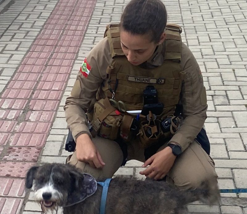 Cachorro foi esquecido por mais de 4 horas em carro fechado na praia Brava em Itajaí &#8211; Foto: Polícia Militar/Reprodução