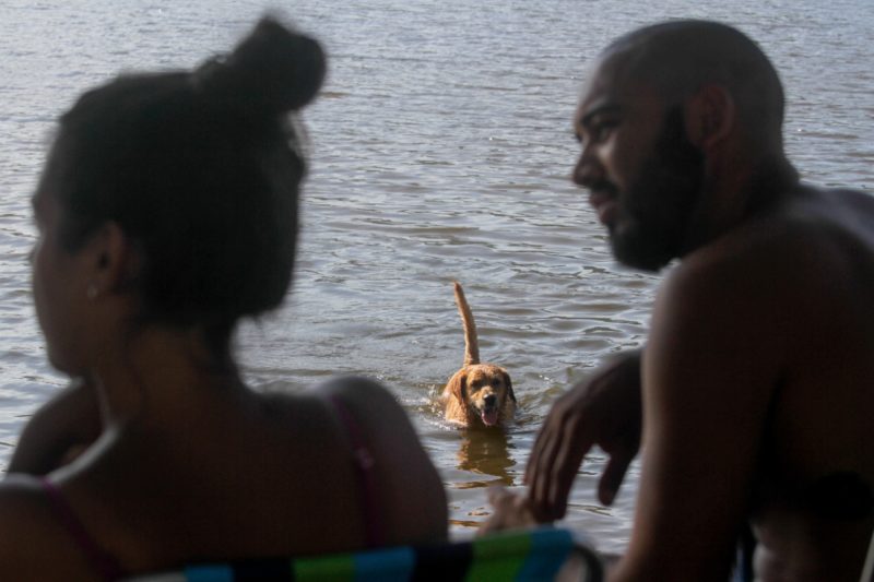 Pist&oacute;n n&atilde;o perderia essa por nada e est&aacute; na trip com a fam&iacute;lia – Foto: Leo Munhoz/ND