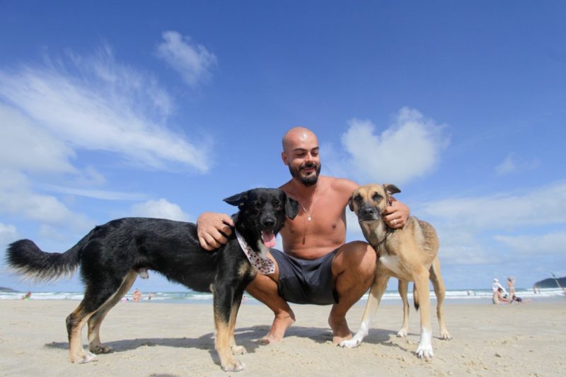 Turista apoia projeto que visa liberação de animais nas praias de Florianópolis