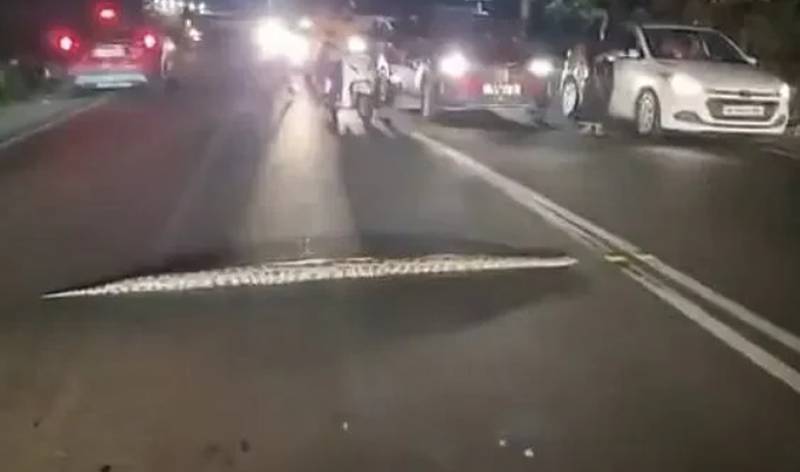 Os olhares curiosos n&atilde;o atrapalharam a passagem pac&iacute;fica da cobra – Foto: Internet/Reprodu&ccedil;&atilde;o/ND