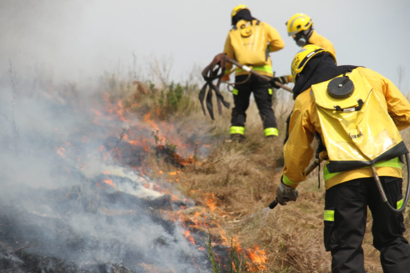 Tempo seco e falta de chuva favorece queimadas em vegetação &#8211; Foto: CBMSC/Divulgação/ND