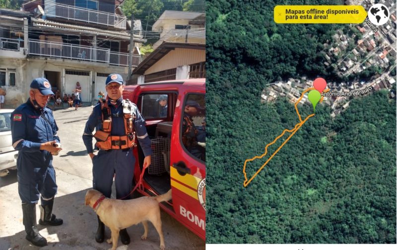 Criança foi encontrada em área de mata – Foto: Corpo de Bombeiros/Divulgação