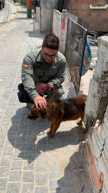 Cachorrinha ficou para tr&aacute;s depois que o dono morreu, h&aacute; 3 meses – Foto: Pol&iacute;cia Militar de Cambori&uacute;/Divulga&ccedil;&atilde;o