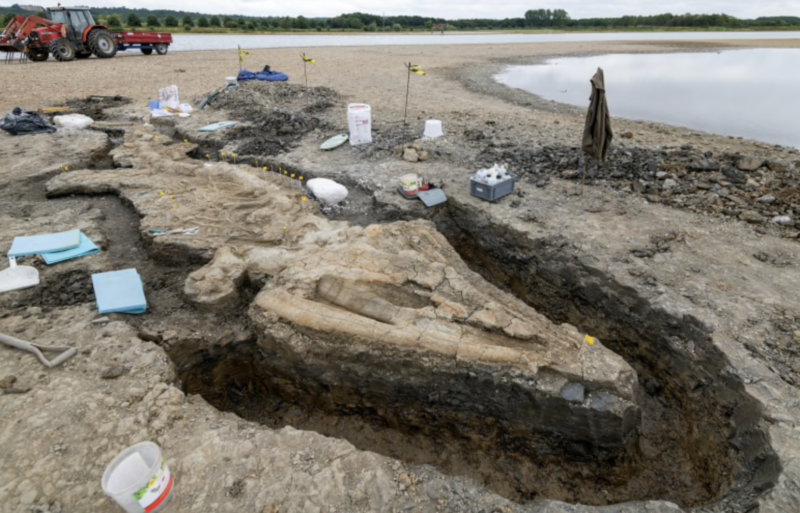 Funcionários faziam manutenção de um parque ambiental quando deram com o monstro &#8211; Foto: Divulgação Anglian Water