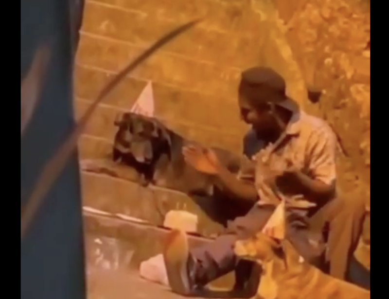 V&iacute;deo de sem-teto fazendo festinha de anivers&aacute;rio para seus cachorros &eacute; de dar um n&oacute; na garganta e faz repensar valores – Foto: Reprodu&ccedil;&atilde;o