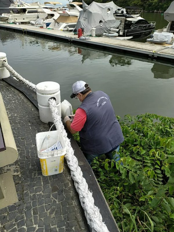 S&oacute; em 2021 as equipes de monitoramento registraram 1,3 mil ocorr&ecirc;ncias de roedores, como ratos, em Balne&aacute;rio Cambori&uacute; – Foto: Prefeitura de Balne&aacute;rio Cambori&uacute;/Divulga&ccedil;&atilde;o