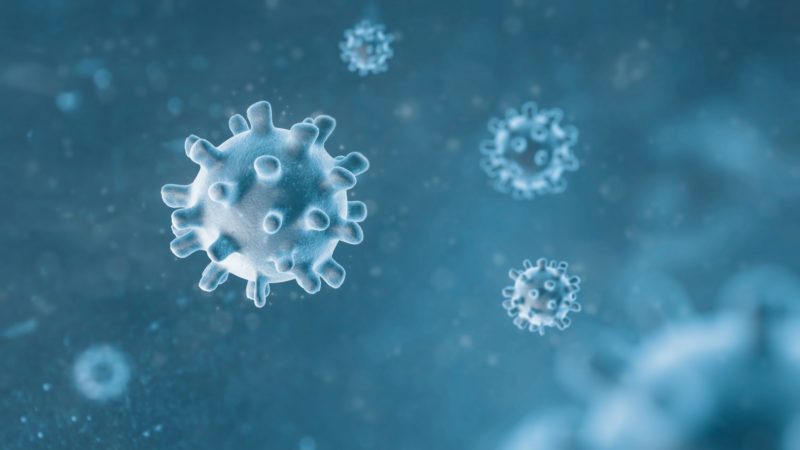 Florian&oacute;polis comemora uma semana sem &oacute;bitos por Covid-19 – Foto: Divulgac&atilde;o/O Trentino/ND