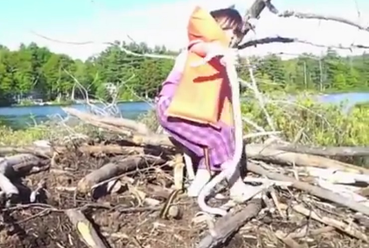 O pai da crian&ccedil;a foi o respons&aacute;vel pelas fotos – Foto: Reprodu&ccedil;&atilde;o Internet