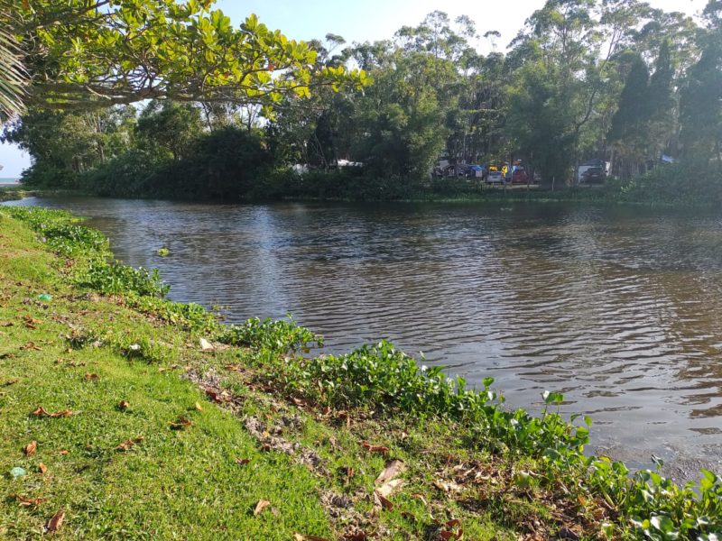 Limpeza no Rio do Brás remove mais de 260 toneladas de vegetação que  encobria a água - Portal Norte da Ilha