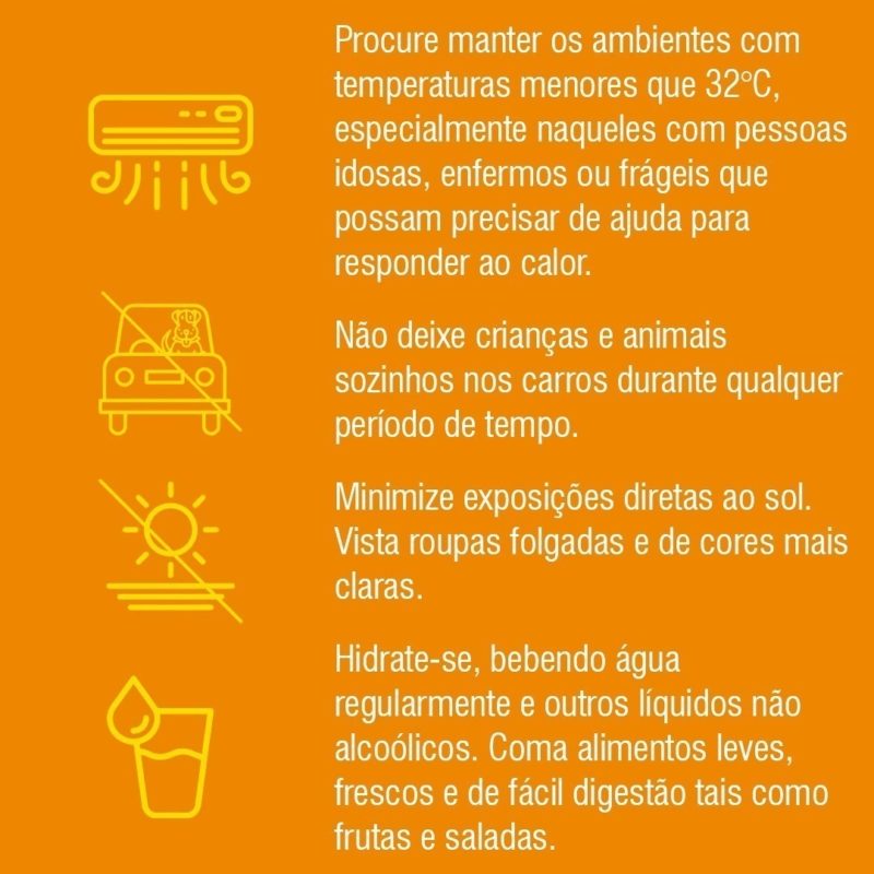 Dicas da Defesa Civil — Foto: Defesa Civil/ND