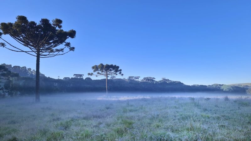 friozinho e geada na serra