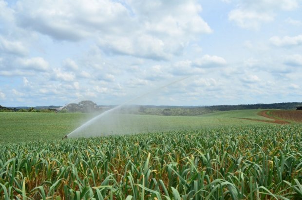 Objetivo é reduzir os impactos da estiagem na agricultura. &#8211; Foto: Ascom/Epagri