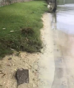 Guarni&ccedil;&atilde;o da PMA voltou ao local das den&uacute;ncias na manh&atilde; desta quinta-feira (6) – Foto: PMA/Divulga&ccedil;&atilde;o/ND