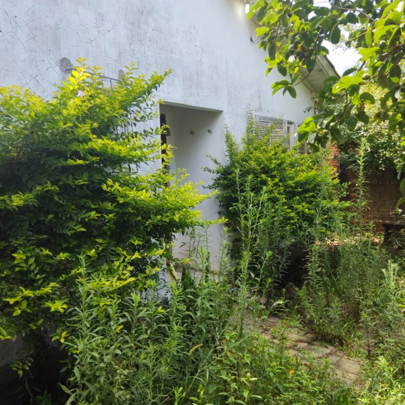 V&iacute;tima teria sido morta em casa no Sul de Santa Catarina – Foto: Divulga&ccedil;&atilde;o/PC/ND