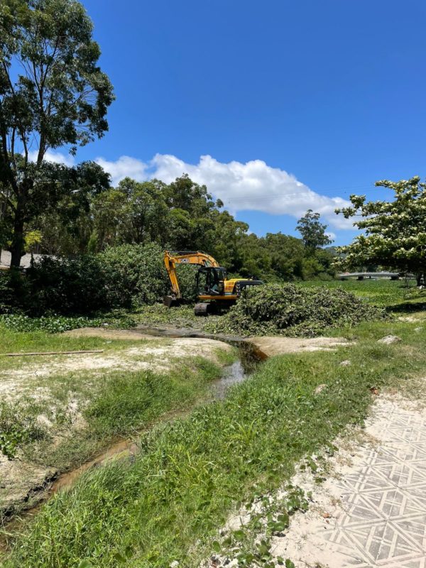 Prefeitura iniciou limpeza na sexta-feira (21) e vai estender o trabalho por duas semanas &#8211; Foto: Floram/Divulgação/ND