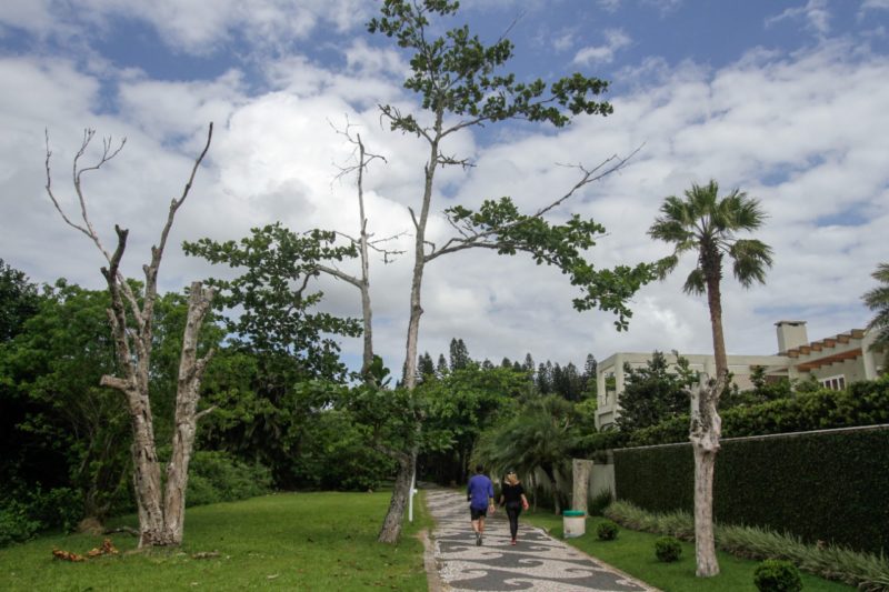 ND acompanha o caso desde janeiro deste ano – Foto: Leo Munhoz/ND