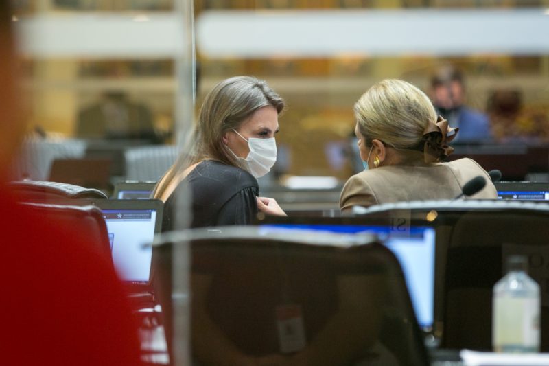 Deputada Paulinha em plen&aacute;rio – Foto: Rodolfo Esp&iacute;nola/Divulga&ccedil;&atilde;o/ND