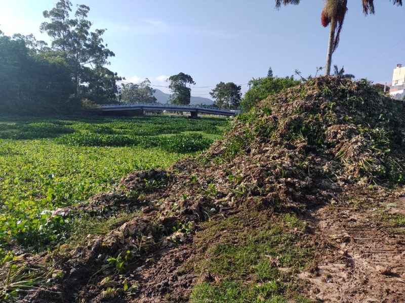 Rio do Br&aacute;s, no Norte da Ilha – Foto: Paulo Mueller/NDTV/divulga&ccedil;&atilde;o
