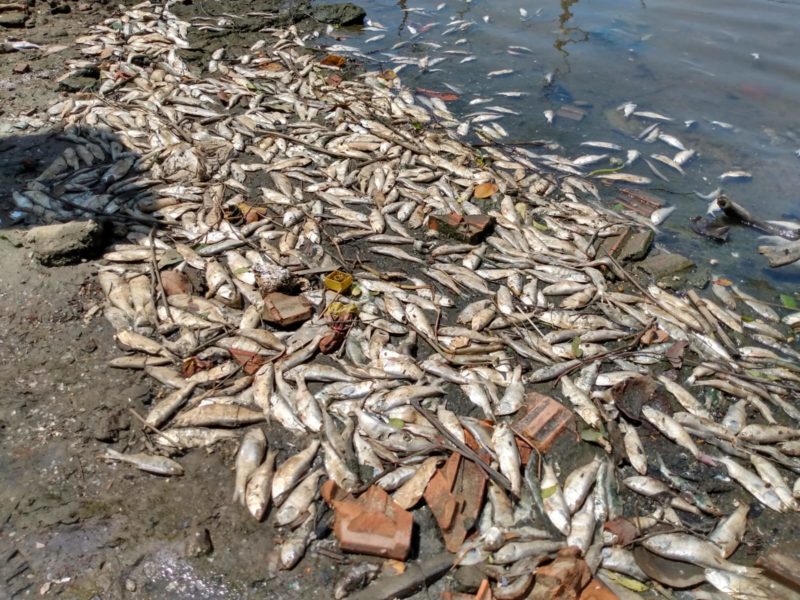 Pol&iacute;cia Militar Ambiental fiscaliza rio Imaru&iacute;m – Foto: PMA/Divulga&ccedil;&atilde;o/ND