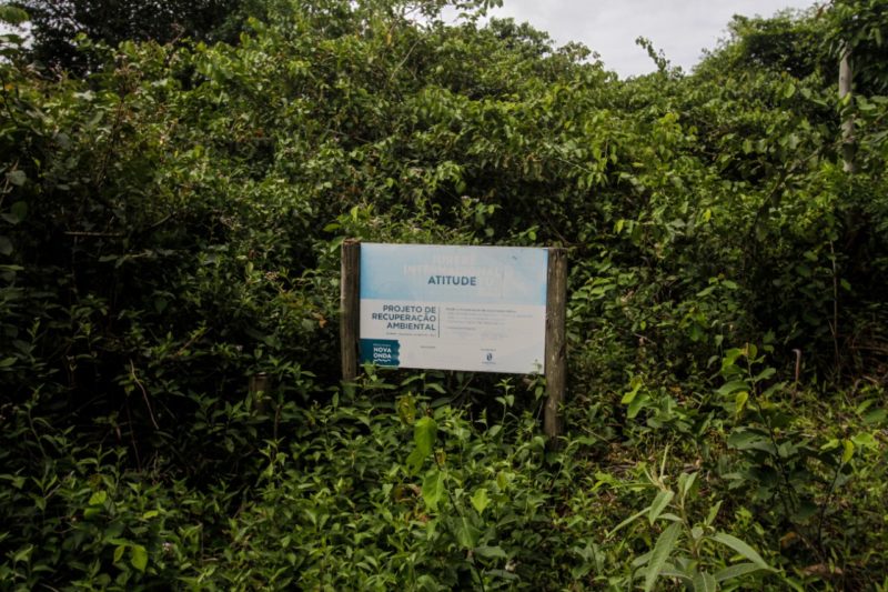 Placa indica que local deve ser preservado e vegeta&ccedil;&atilde;o mantida – Foto: Leo Munhoz/ND