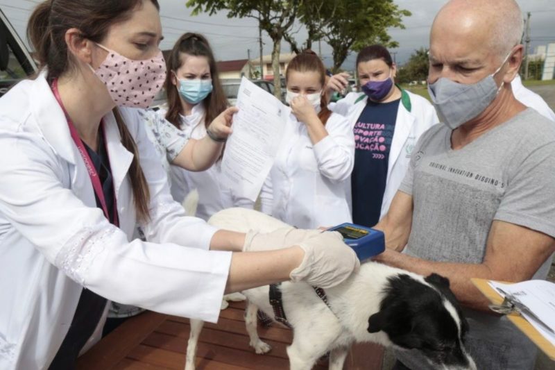 A a&ccedil;&atilde;o acontece no s&aacute;bado e domingo – Foto: Prefeitura/Divulga&ccedil;&atilde;o/ND