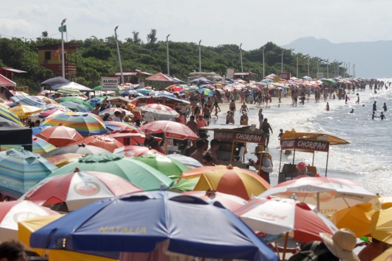 Daniela, praia de Florianópolis