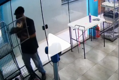 Funcion&aacute;rio dan&ccedil;a com cachorro durante hor&aacute;rio de trabalho em Pet shop – Foto: Reprodu&ccedil;&atilde;o/Internet/ND
