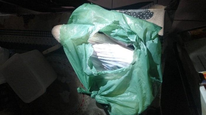 Saco de peixe congelado foi utilizado para agress&atilde;o a uma mulher – Foto: Divulga&ccedil;&atilde;o/CCS-PMSC