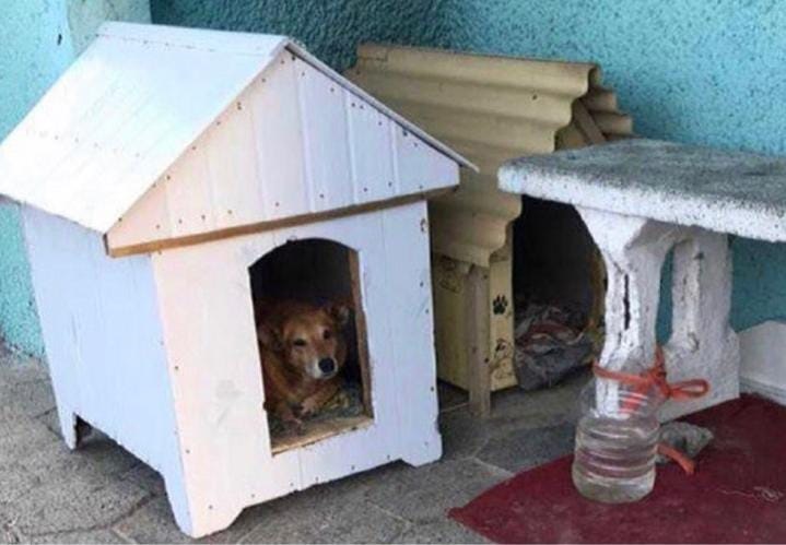 Mel e Bigode viviam em casinhas doadas pela comunidade. – Foto: Arquivo Pessoal/Divulga&ccedil;&atilde;o