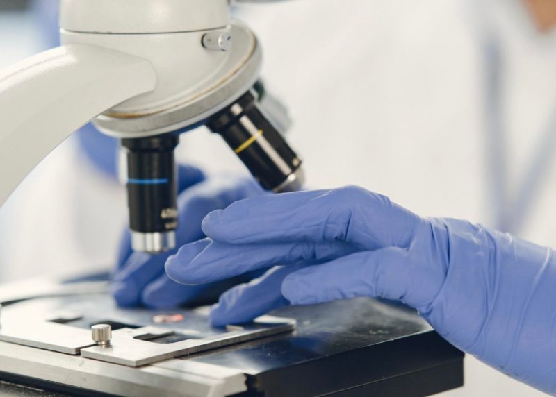 Publica&ccedil;&atilde;o indica tamb&eacute;m que a circula&ccedil;&atilde;o da subvariante BA.2 – Foto: Divulga&ccedil;&atilde;o/ND