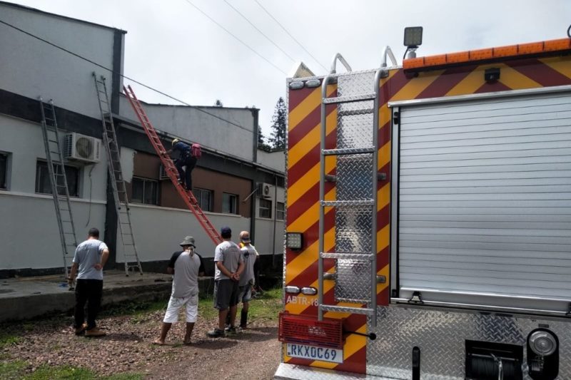 A v&iacute;tima sofreu queimaduras de grau 4 – Foto: Bombeiros